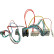 SWI Dacia/Fiat/Mercedes/Nissan/Opel/Renault 12 broches/24 broches/6 broches, Vignette 2