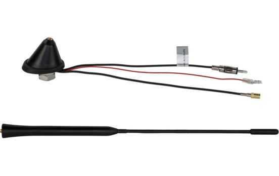 Antenne de toit 16V FM / DAB+ Angle d'inclinaison de 72 degrés (fouet 32cm), Image 2