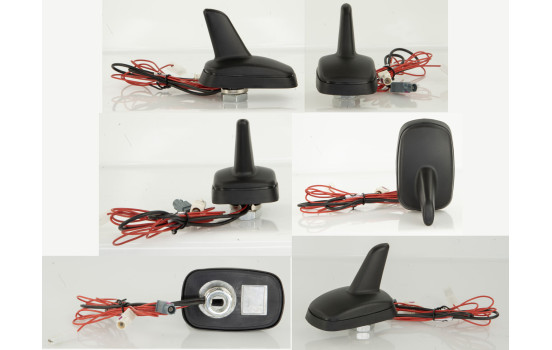Antenne de toit Shark AM/FM & DAB+ (noir mat) 2x fakra mâle, Image 4