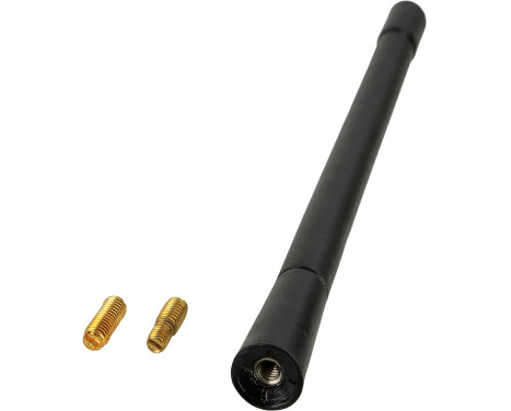 Antenne fouet 16V FM 17,5cm M6-M6 / M6-M5 (FZ0176)