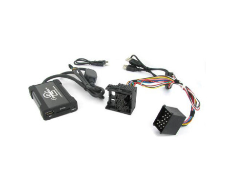 Interfaces Aux-USB-SD BMW 17 broches