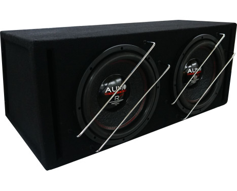 RADION SERIES EVO HIGH EFFICIENT 2x caisson bass reflex 42 litres BR 12-2 + 2x R 12 EVO
