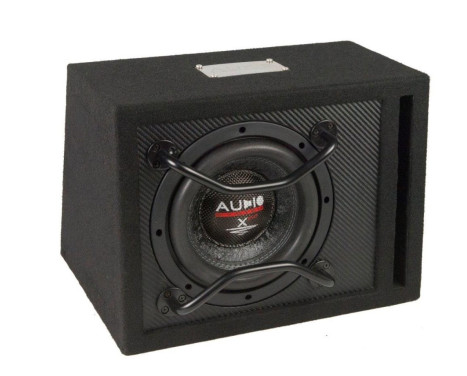 Série X--ion LONG STROKE Boom Box Caisson de basses Boîte ouverte de 10 litres avec X06 EVO 2x 250/150 Watt