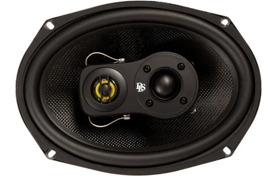Haut-parleur coaxial DLS 7x10"/180x250mm M3710i