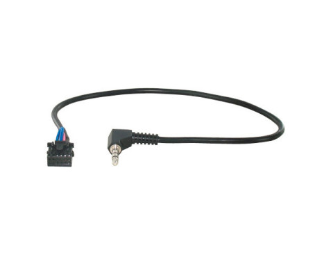 Pionnier de Radiolead