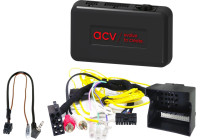 SWI BMW Série 1/Série 3/Série 5/X5/X6 Quadlock Multilead Amp (42sbm012)