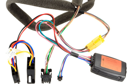 SWI Renault Clio / Kangoo / Trafic Mini ISO > Chine HU, Image 2