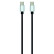 Carpoint USB-C >USB-C kabel 2 meter