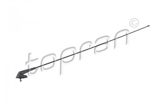 Antenn