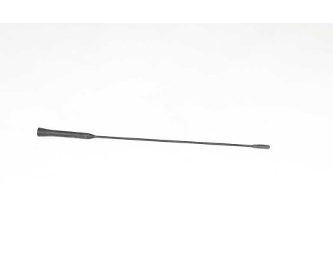 Antenn