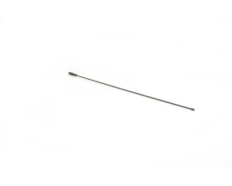 Antenn