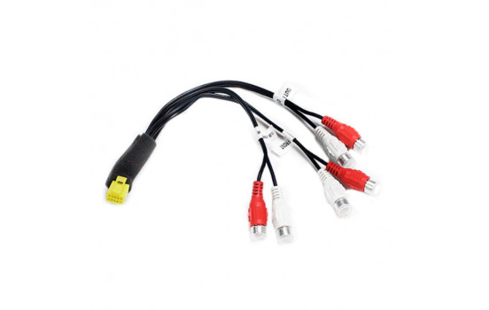 Clarion utbyggnadsport kabel 10 stift