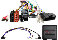 SWI Ford Diverse Fordon 24Pin/Display Multilead