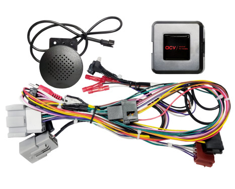 SWI Ford Fiesta 24-polig/Display Multiledare (42sfo005)
