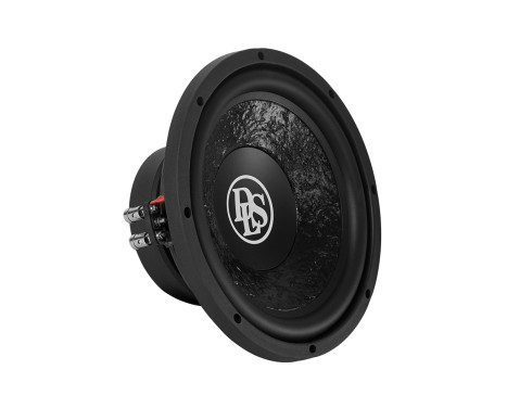 DLS 10"/250mm 2+2 Ohm Subwoofer