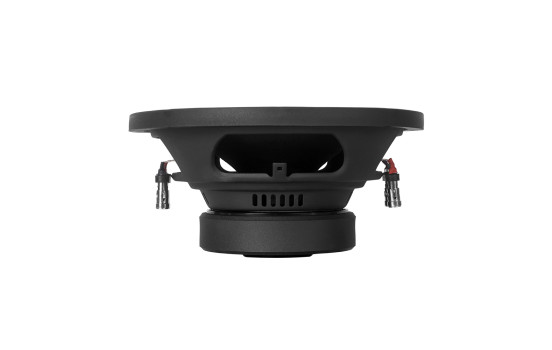 DLS 10"/250mm 2+2 Ohm Subwoofer, bild 6