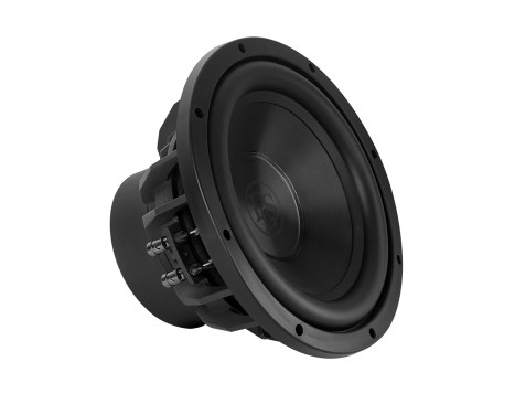 DLS 10"/250mm subwoofer!