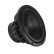 DLS 10"/250mm subwoofer!