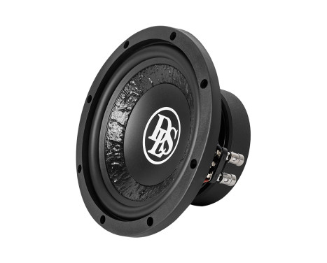 DLS 8"/200mm 2+2 Ohm Subwoofer, bild 5