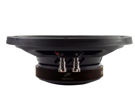 RADION Series 250 mm FLAT - Subwoofer 400/300 watt, bild 2