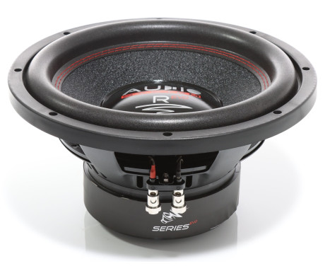 RADION Series 300 mm HÖG EFFEKTIV Subwoofer 2x 500/300 Watt