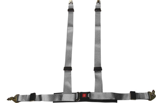 Racing Sport Harness 4 poäng Silver + E-märkt (2 tum)