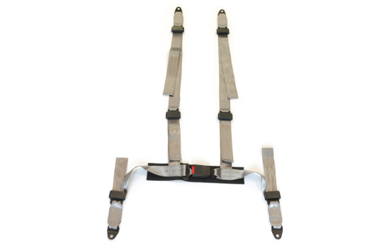 Racing Sport Harness 4 poäng Silver + E-märkt (2 tum), bild 2