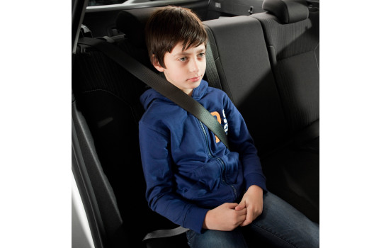 Säkerhetsbältesguide, bild 4