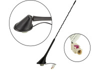Roof antenna AM/FM 60° rod inclination 12V Phantom anti-theft