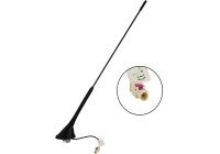 Roof antenna AM/FM 60° rod inclination 12V Phantom