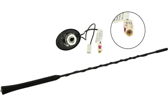 Roof antenna AM/FM 76° rod inclination 12V external