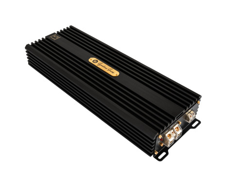 DLS Signature series 1-channel mono amplifier CAS1