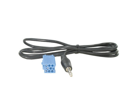 Aux in adapter Blaupunkt