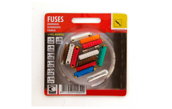 Fuse assortment 13 pieces