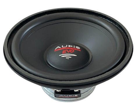 AUDIO SYSTEM 120mm HIGH-END Midrange Speaker
