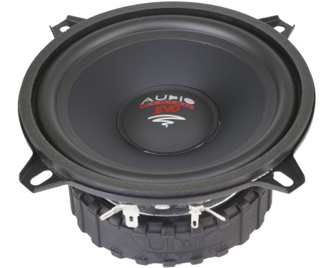 AUDIO SYSTEM RADION 130mm Midrange paper membrane speaker