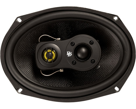 DLS 7x10"/180x250mm coaxial speaker M3710i
