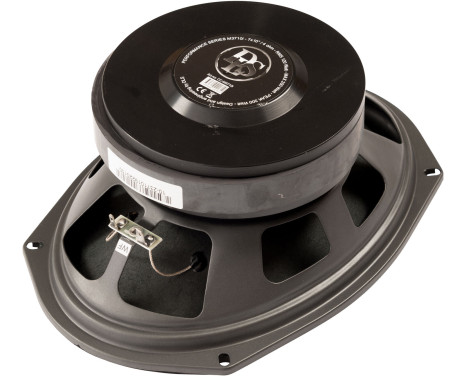DLS 7x10"/180x250mm coaxial speaker M3710i, Image 4