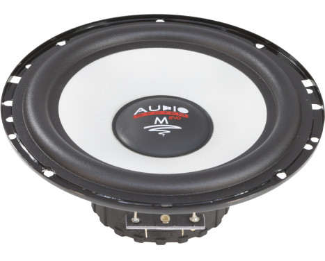 MS-SERIES 165mm midrange glass fiber diaphragm speaker
