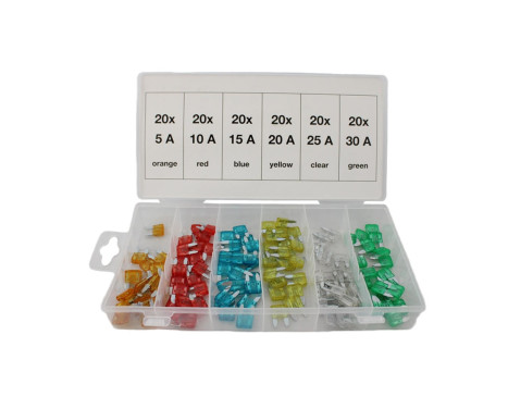 Assortment Mini fuses 120 pcs