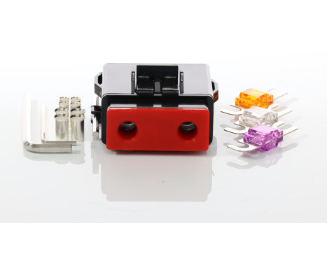 AUDIO SYSTEM Mini ANL WP HIGH END fuse holder. Input/Output: 10 to 25 qmm