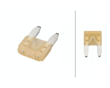 Fuse