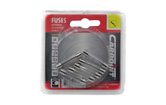 Glass fuse assortment 6 pieces
