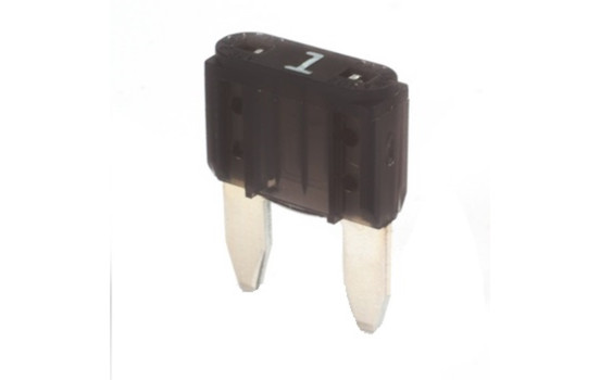 Mini Blade Fuse