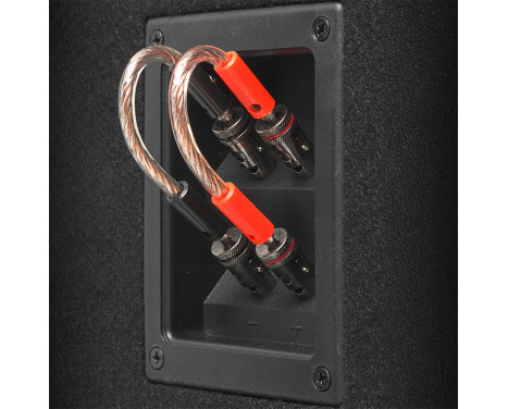 GAS MAX Level 1 Loaded enclosure 3x8", Image 4