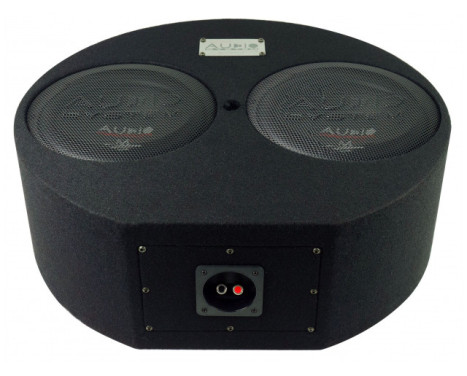 SF-M10-2 EVO + CO-220.1D 220W RMS