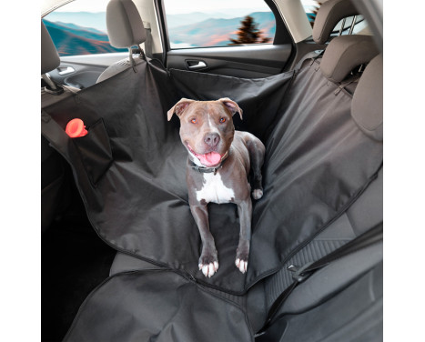 Universal Back Seat Protector for pets in black water-repellent material - 1 piece