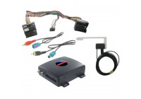 DAB Interface Ford