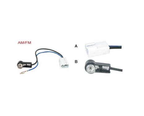 AM / FM antenna adapter