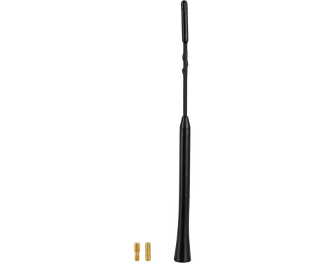 Antenna boom 16V "low noise" AM/FM 20cm, with M5 and M6 adapters, Image 3